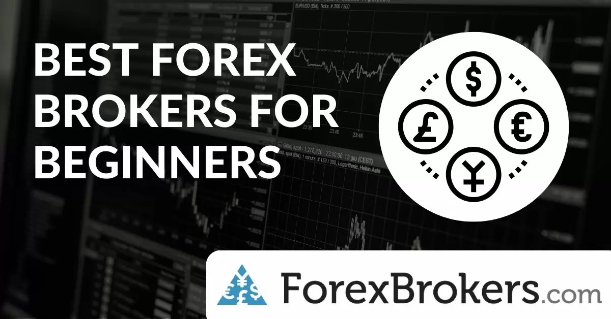 Best%20Forex%20Brokers%20for%20Beginners_Schema.jpg